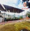 Cho thuê mặt bằng đất trống 700m2 đường Phạm Văn Thuận giá 40 triệu