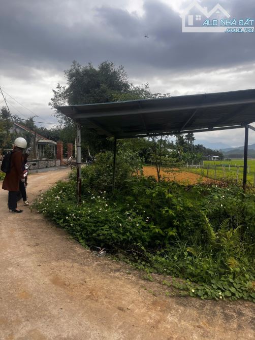 Bán đất nhà vườn view cánh đồng