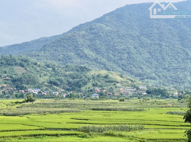 355M2 NỞ HẬU GIÁ (15TR/M) GIÁP KHU VILAS ĐẸP