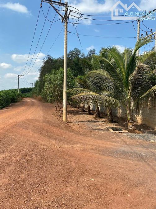 X094 nhà xưởng sản xuất. Giá bán hấp dẫn. Chuyển nhượng toàn bộ