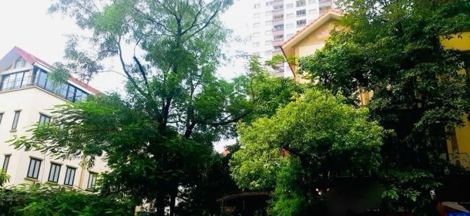 BIỆT THỰ MẶT PHỐ MẠC THÁI TÔNG - CẦU GIẤY - DT 137M2 x 4T-83 TỶ-LÔ GÓC-KD ĐỈNH CAO