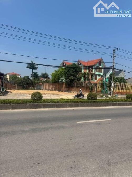 Lý Thánh Tông giá mềm -Đồng Hới-Quảng Trị