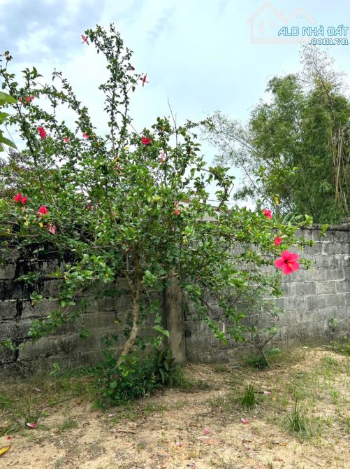 bán nhà gỗ ba gian view sông Cái  nay là phường Hoà Xuân