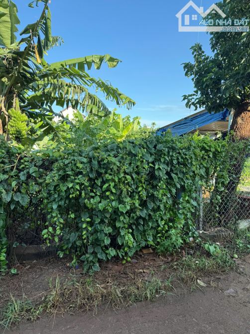 📣📣 BÁN ĐẤT ĐẸP CAO THÀNH – PHƯỜNG EA KAO  ☺️Giá cực mềm – Gần mặt tiền Y Wang chỉ 700m G - 1