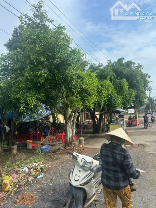 Bán đất mặt tiền đường ĐT 824, xã Lương Bình, huyện Bến Lức, Long An (nay là Thạnh Lợi) - 1