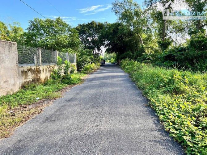 ✅ Bán đất thổ mặt tiền Nguyễn Văn Siêu , Phường 5 , TP Tân An _ Diện Tích : 5 x 30m2 - 1