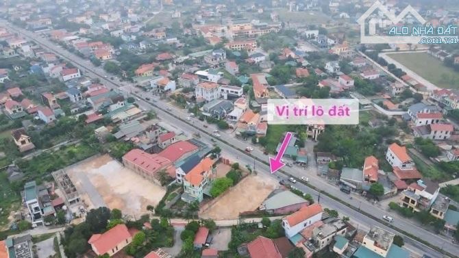 Lý Thánh Tông giá mềm -Đồng Hới-Quảng Trị - 1