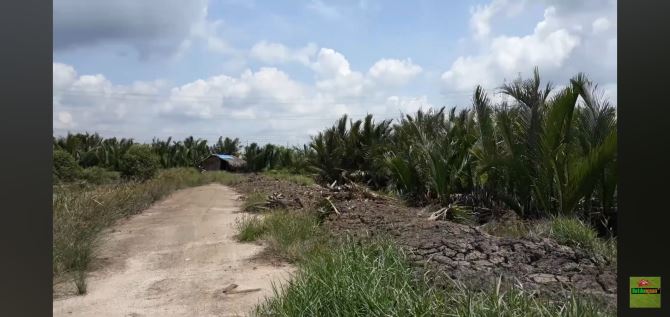 Bán 16 hả đất Nhơn Trạch, sổ đỏ riêng, 400 ngàn/m2 - 1