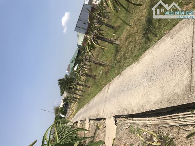 746m2 đất vườn giá ngộp 295tr cách nhựa bự ĐT827 tầm 300m, sổ hồng - 1