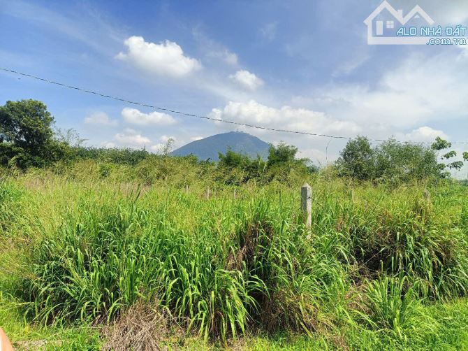 Cần tiền gấp bán 2.5 công đất view núi bà, có 100 thổ cư, giá 850 triệu, đường oto - 1