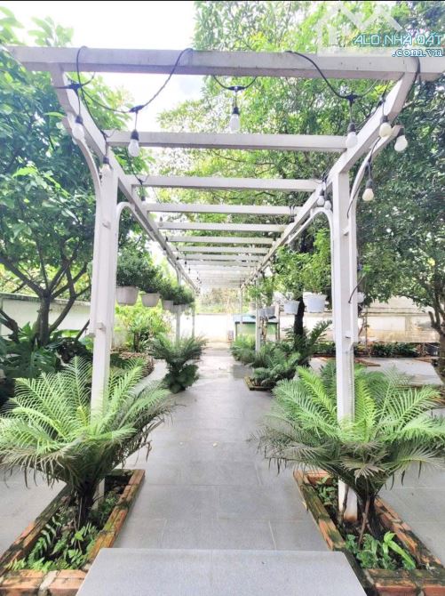Bán Việt Thự Tuyệt Đẹp ở 1/An Thạnh 10, Tp Thuận An, gần Cầu Trắng đường CMT8 - 12