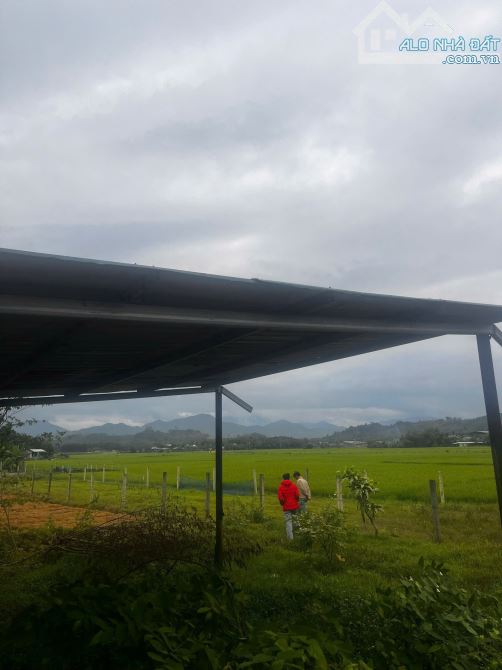 Bán đất nhà vườn view cánh đồng - 1