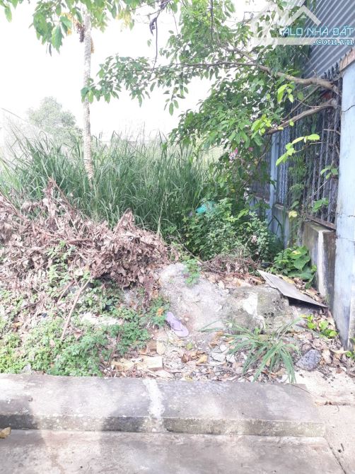 Bán Lô Đất Đẹp 84m2, Mặt Tiền Kinh Doanh Ngay KDC Đinh Thuận, Kp5 Phường Tân Hiệp. - 2