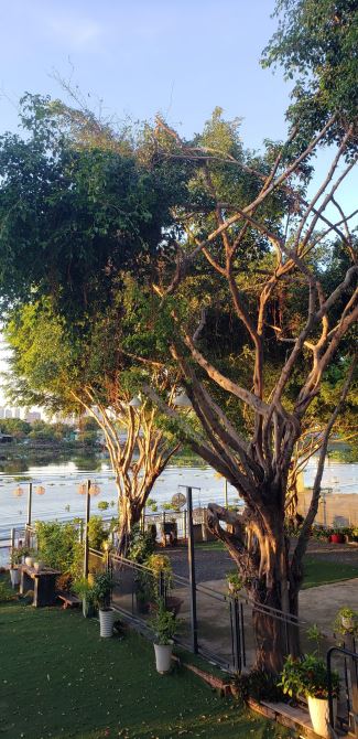 Bán BIỆT THỰ Mặt tiền đường số 10 View Sông SG Hiệp Bình Chánh 490m2 Giá 45.5 Tỷ - 2