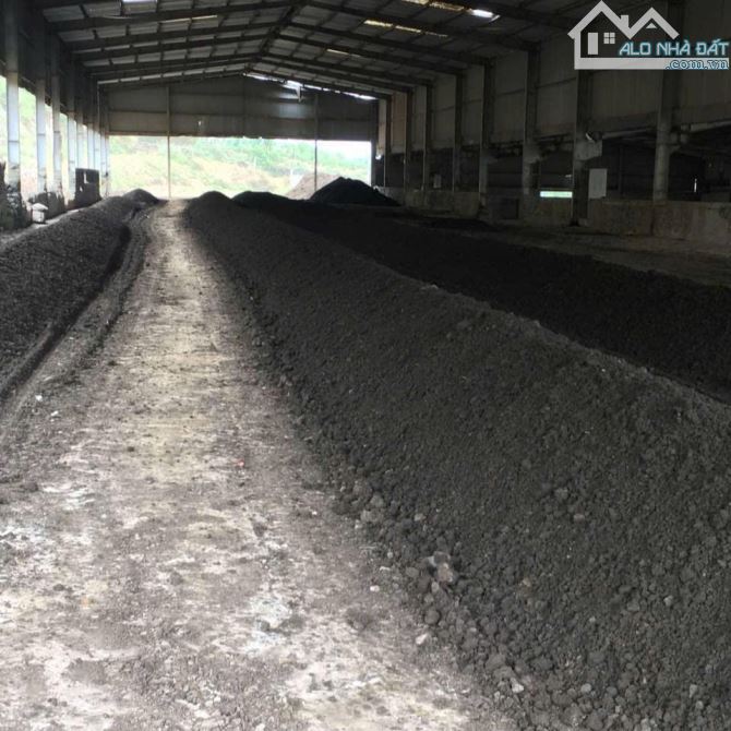 X094 nhà xưởng sản xuất. Giá bán hấp dẫn. Chuyển nhượng toàn bộ - 2