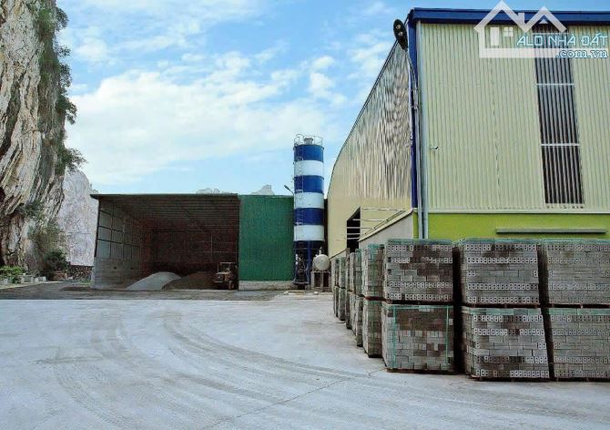 SEI Group chuyển nhượng  7600m2 đất kèm nhà xưởng tại Gia Viễn Ninh Bình - 2