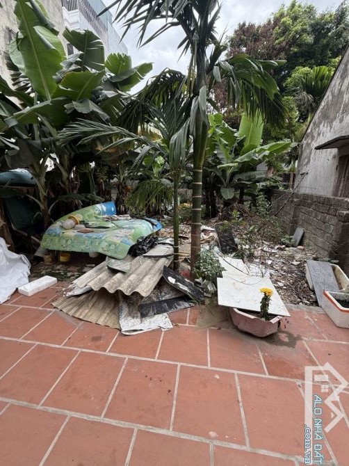 Bán đất Phúc Thành, Biên Giang – 63m², mặt tiền 4.5m, sổ đỏ chính chủ - 2