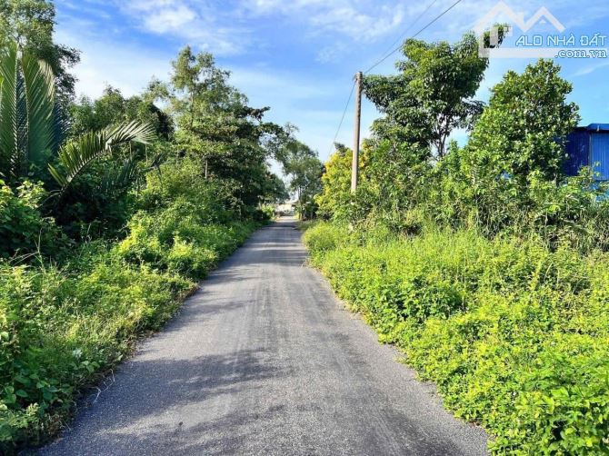 ✅ Bán đất thổ mặt tiền Nguyễn Văn Siêu , Phường 5 , TP Tân An _ Diện Tích : 5 x 30m2 - 2