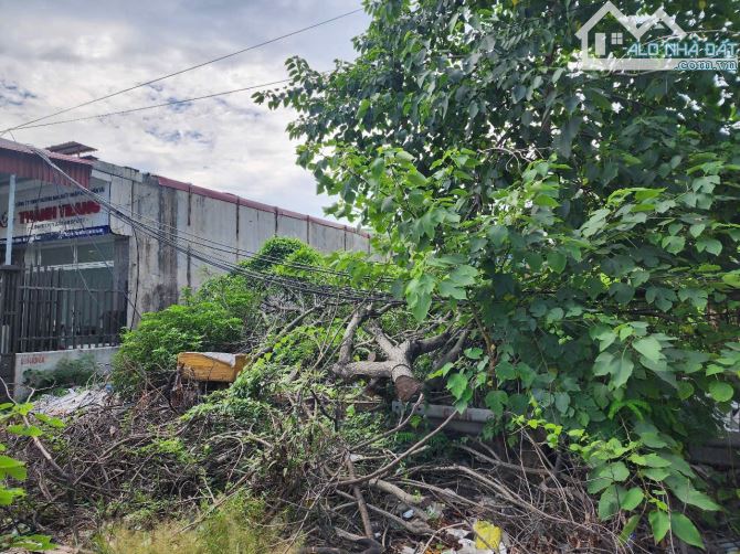 ⚡️BÁN GẤP LÔ ĐẤT MẶT ĐƯỜNG NGUYỄN BỈNH KHIÊM_ 80m2 Hơn 3 tỷ - 2
