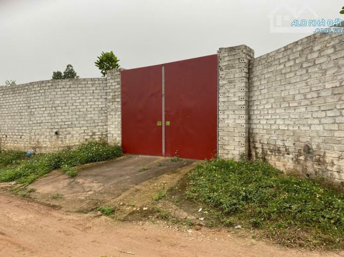 Bán đất đẹp Phú cường, Hướng đạo, Tam dương. Cạnh 3 Khu công nghiệp. - 2