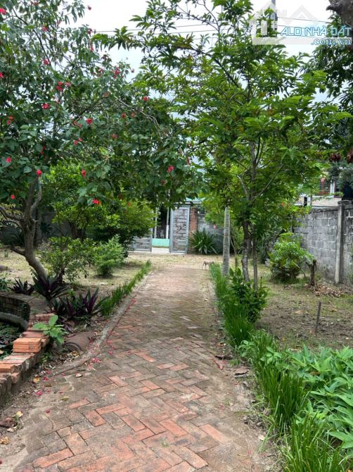 bán nhà gỗ ba gian view sông Cái  nay là phường Hoà Xuân - 2