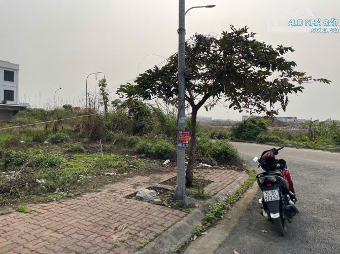 SIÊU PHẨM 2 LÔ ĐẤT 60m2 TÁI ĐỊNH CƯ KHU A BẮC SÔNG CẤM, THỦY NGUYÊN – CHỈ 3,65 TỶ/LÔ - 2