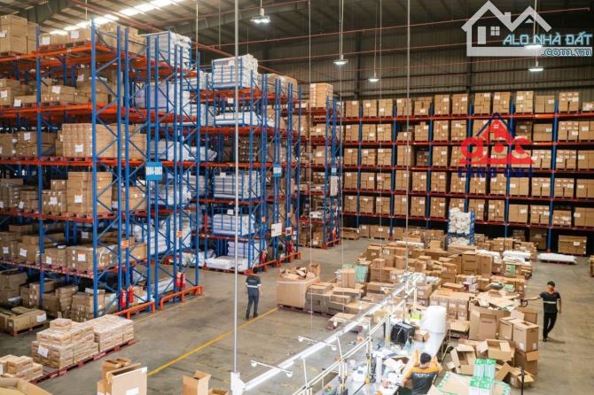 XT318 Cho thuê Kho Bãi - Dịch Vụ Hậu Cầu Cảng ( LOGISTIC ).  Tại Đồng Nai  • KHO TIÊU CHUẨ - 3