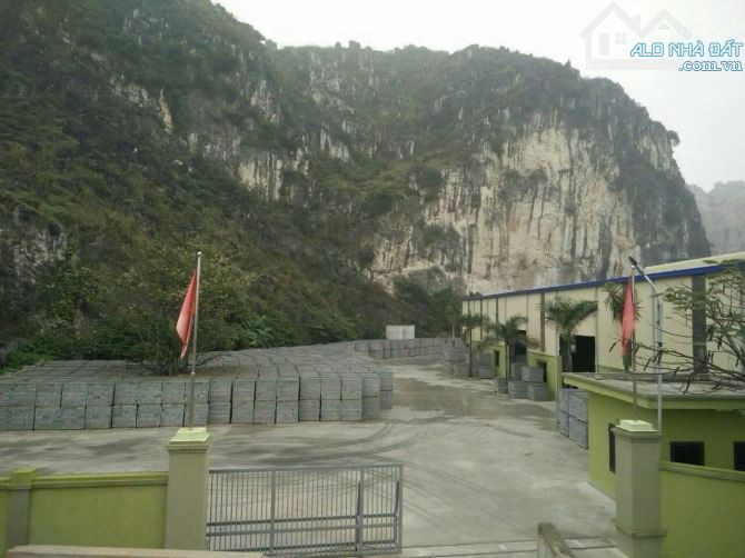SEI Group chuyển nhượng  7600m2 đất kèm nhà xưởng tại Gia Viễn Ninh Bình - 3
