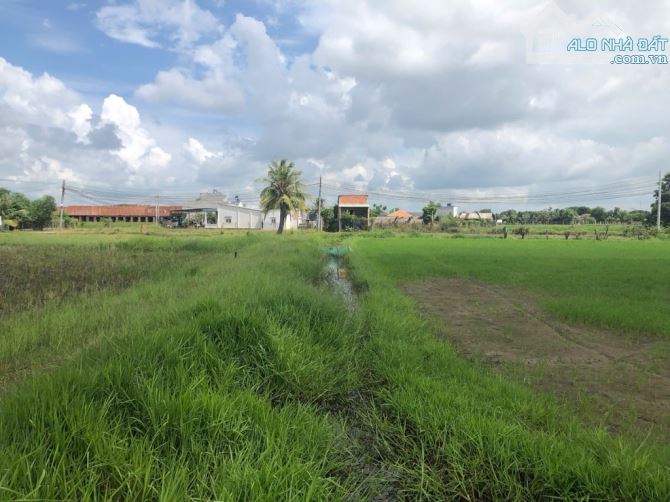 Bán Gấp 10000m2 Đất No Đức Hòa Long An Chỉ 49 Tỷ - 3