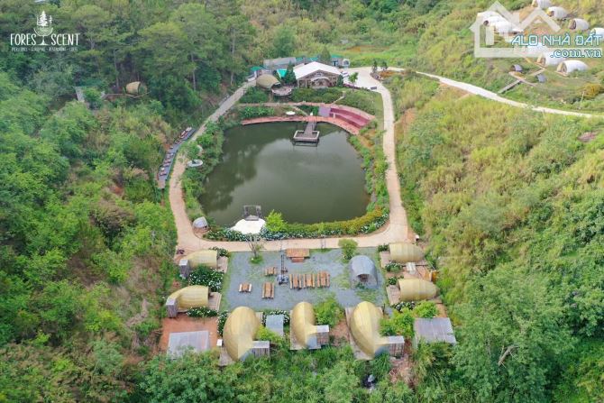 SIÊU PHẨM TỔ HỢP CỰC LỚN TƯ NHÂN MẶT TIỀN KHE SANH ĐÀ LẠT TIỆN ĐẦU TƯ NHIỀU MÔ HÌNH - 3