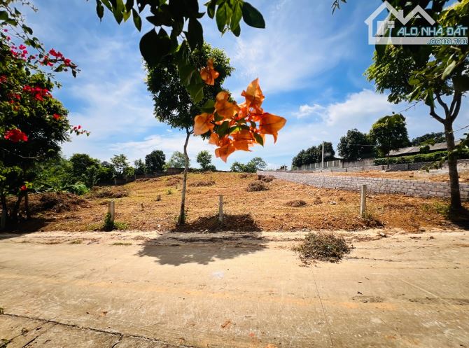 355M2 NỞ HẬU GIÁ (15TR/M) GIÁP KHU VILAS ĐẸP - 4