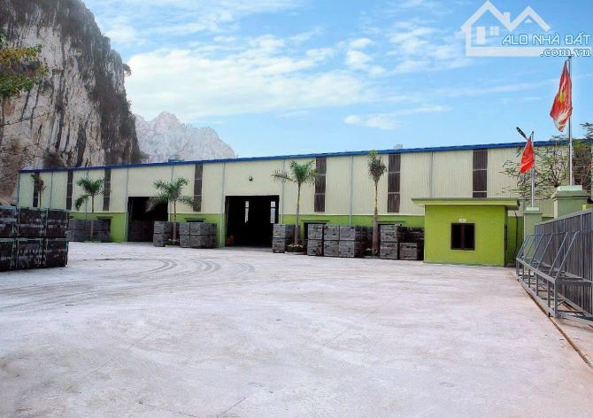 SEI Group chuyển nhượng  7600m2 đất kèm nhà xưởng tại Gia Viễn Ninh Bình - 4