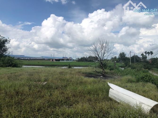 Bán Gấp 10000m2 Đất No Đức Hòa Long An Chỉ 49 Tỷ - 4