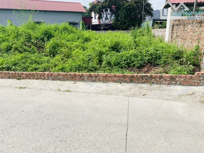 Bán gấp 72m2 đất đẹp Phù Lỗ-đường thông-2 xe tải tránh-giá đầu tư. - 4