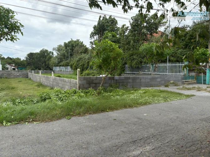 Cần bán gấp lô đất 127m2 đường Nguyễn Thị Ni, xã Phước Hiệp, Củ Chi 650 triệu - 5