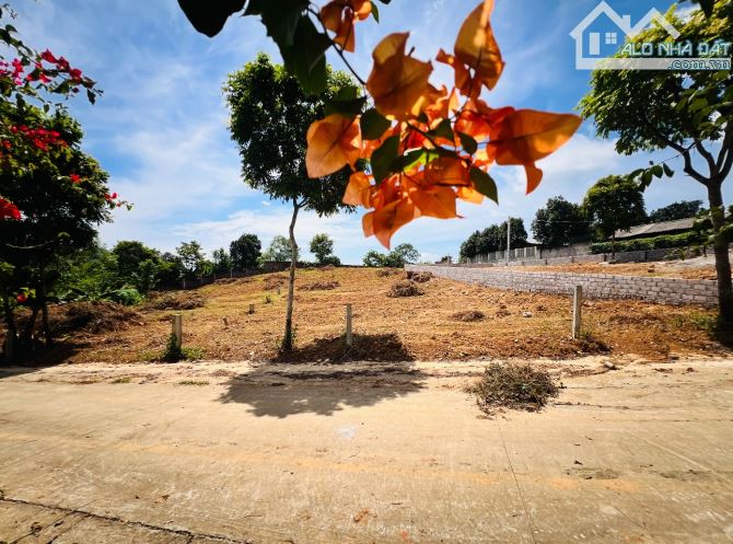 355M2 NỞ HẬU GIÁ (15TR/M) GIÁP KHU VILAS ĐẸP - 5