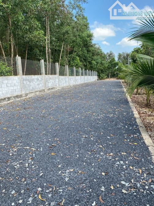 Bán Xưởng Và Đat Vườn Thuộc Xã Tân An Vĩnh Cửu - 5