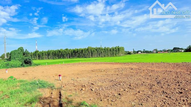 2 LÔ LIÊN KỀ MẶT TIỀN TRÁNH QUỐC LỘ 55 - NGAY KHU CÔNG NGHIỆP ĐẤT ĐỎ- BRVT 🌈DT 10x28M - 5