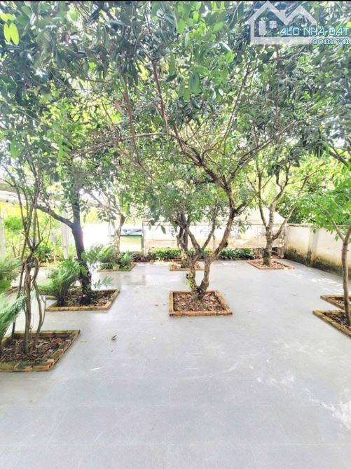 Bán Việt Thự Tuyệt Đẹp ở 1/An Thạnh 10, Tp Thuận An, gần Cầu Trắng đường CMT8 - 7