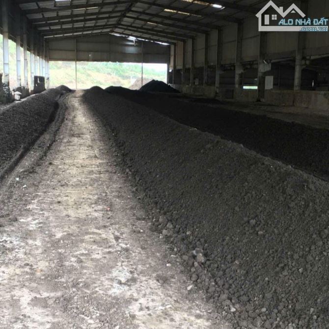 Bán Xưởng Và Đat Vườn Thuộc Xã Tân An Vĩnh Cửu - 8