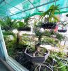 Bán nhà Hẻm ô tô né Phường 15 Tân Bình, Phan Huy Ích, Gần 90m, 5x16m nở hậu, 3 tầng, 9 tỷ