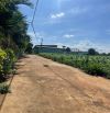 BÁN LÔ ĐẤT THÔN 3 CƯ SÊ - ĐỐI DIỆN KHO TÔN LONG VÂN