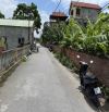 Bán siêu phẩm lô góc 51m2 đường ô tô tránh, kinh doanh tại Lệ Chi