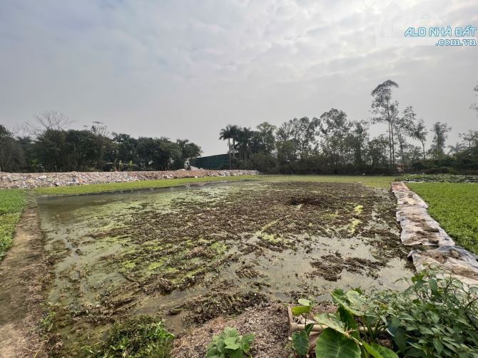 bán đất nông nghiệp yên xá 800m2, duong 10m, gần liền kề tổng cục 5, giá 6.4 tỷ