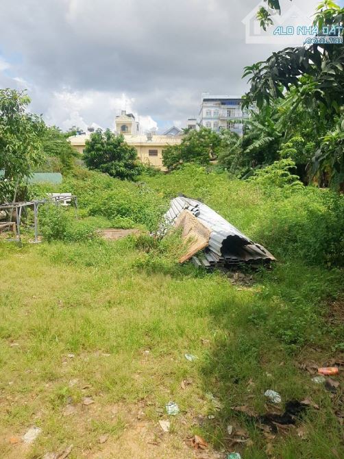 Bán 1752m2 đất mặt tiền ngang 49m, Xuân Thới Sơn, Xuân Thới Sơn, Hóc Môn,giá nhỉnh 17,4tỷ