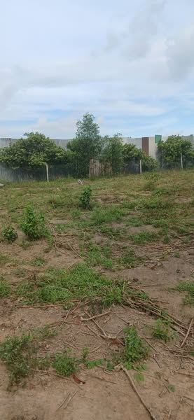 Bán đất 2121m2 tại Xã Tân Lâm, Xuyên Mộc, Bà Rịa Vũng Tàu, giá ưu đãi 4 triệu / m2