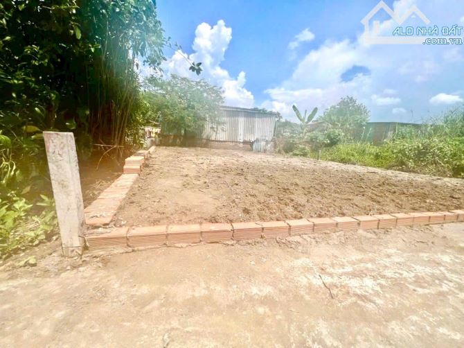 Bán lô đất đường Trần Quang Quờn, Bình Khánh, Cần Giờ 1,5tỷ