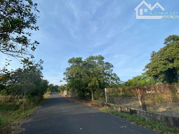 Bán đất nền 16.712m2 tại Xã Tân Lâm, Xuyên Mộc, Bà Rịa Vũng Tàu, giá ưu đãi 3 triệu / m2