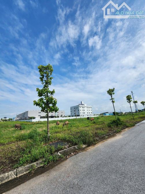 Chuyển nhượng 2 lô liền nhau dự án Vạn Xuân Liên Yên Phong. Bn.