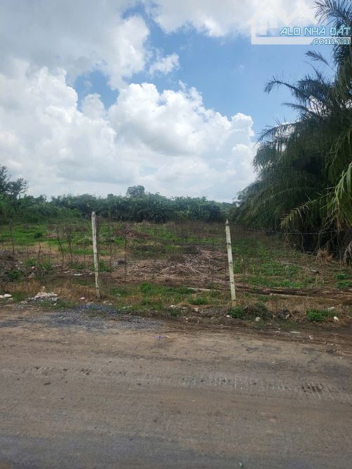 Bán đất MT đường nhị bình 5 hóc môn